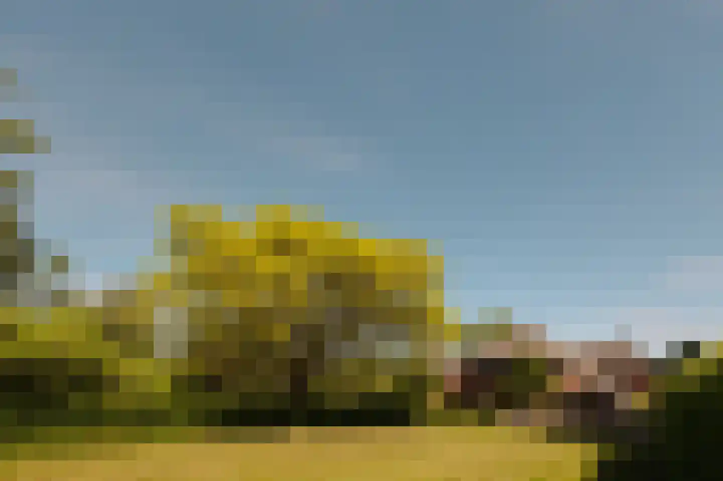 Lingedijk 30 Wadenoijen thumbnail 59