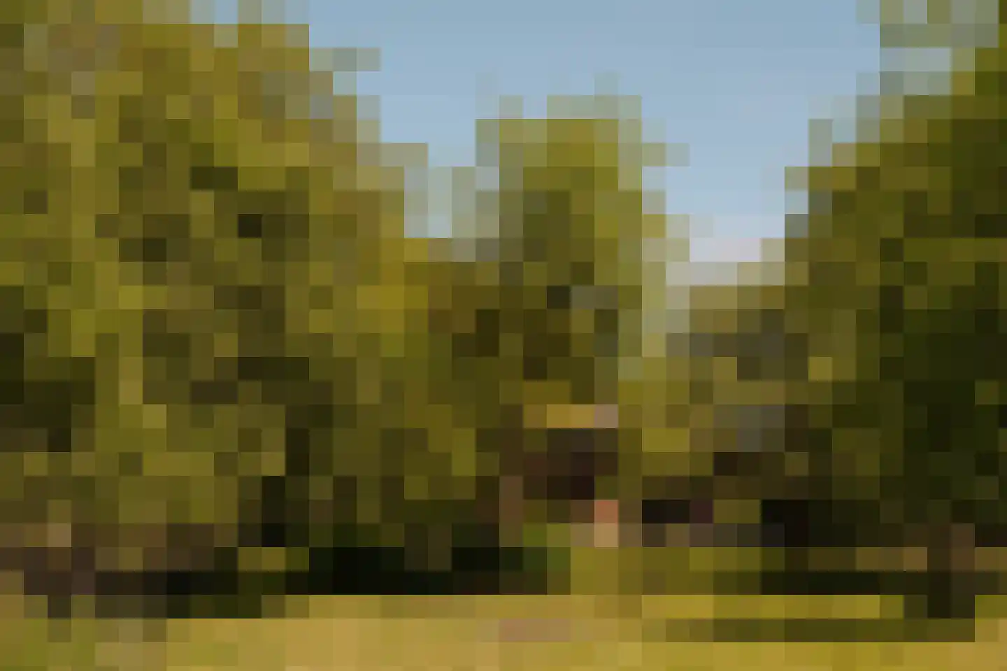 Lingedijk 30 Wadenoijen thumbnail 62