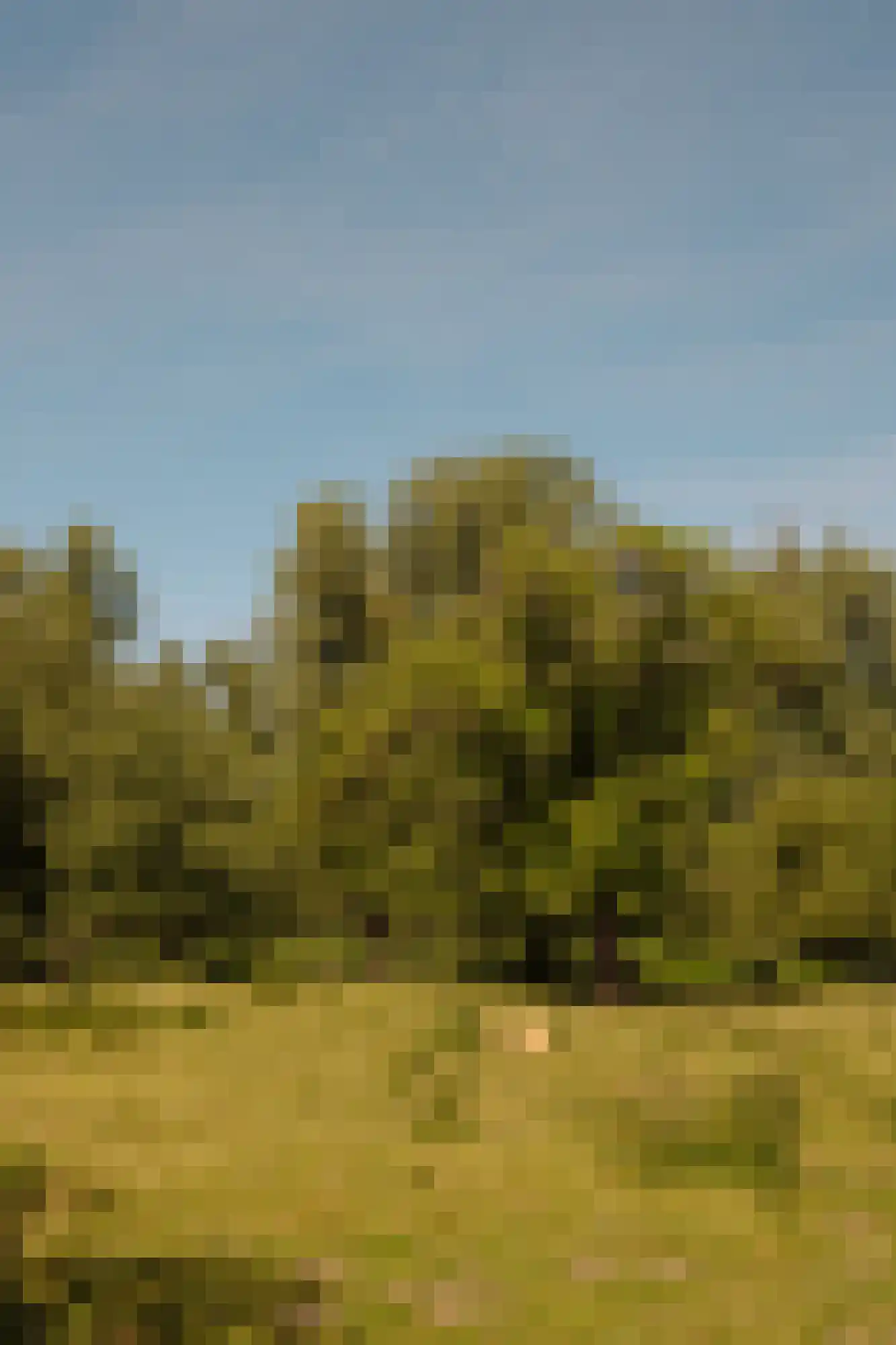 Lingedijk 30 Wadenoijen thumbnail 63