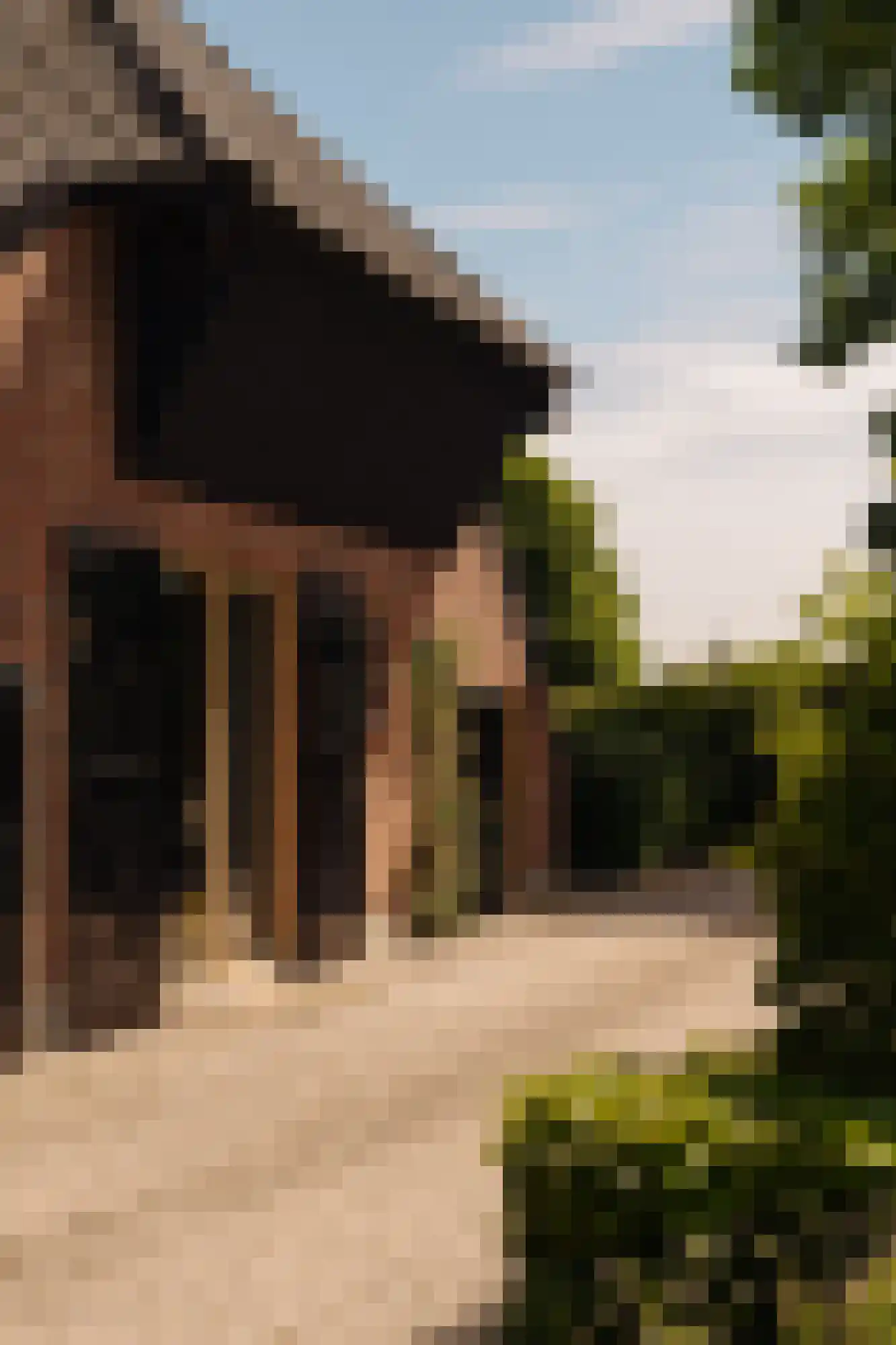 Lingedijk 30 Wadenoijen thumbnail 69