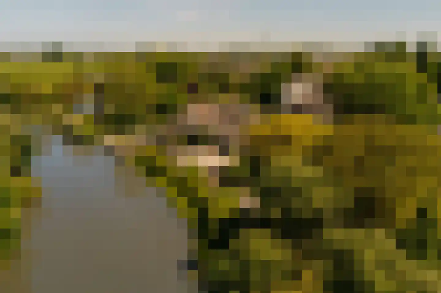 Lingedijk 30 Wadenoijen thumbnail 92