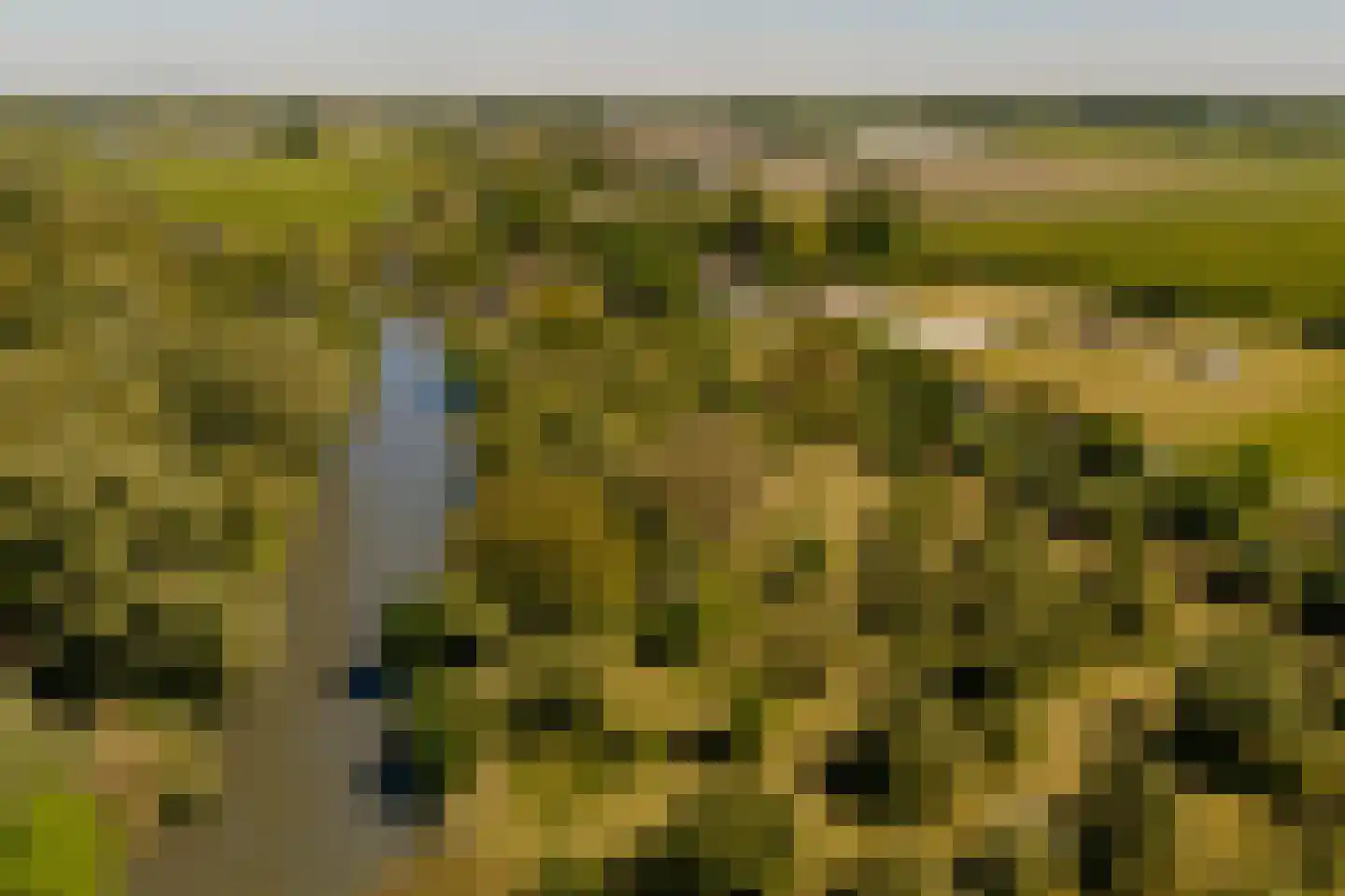 Lingedijk 30 Wadenoijen thumbnail 93