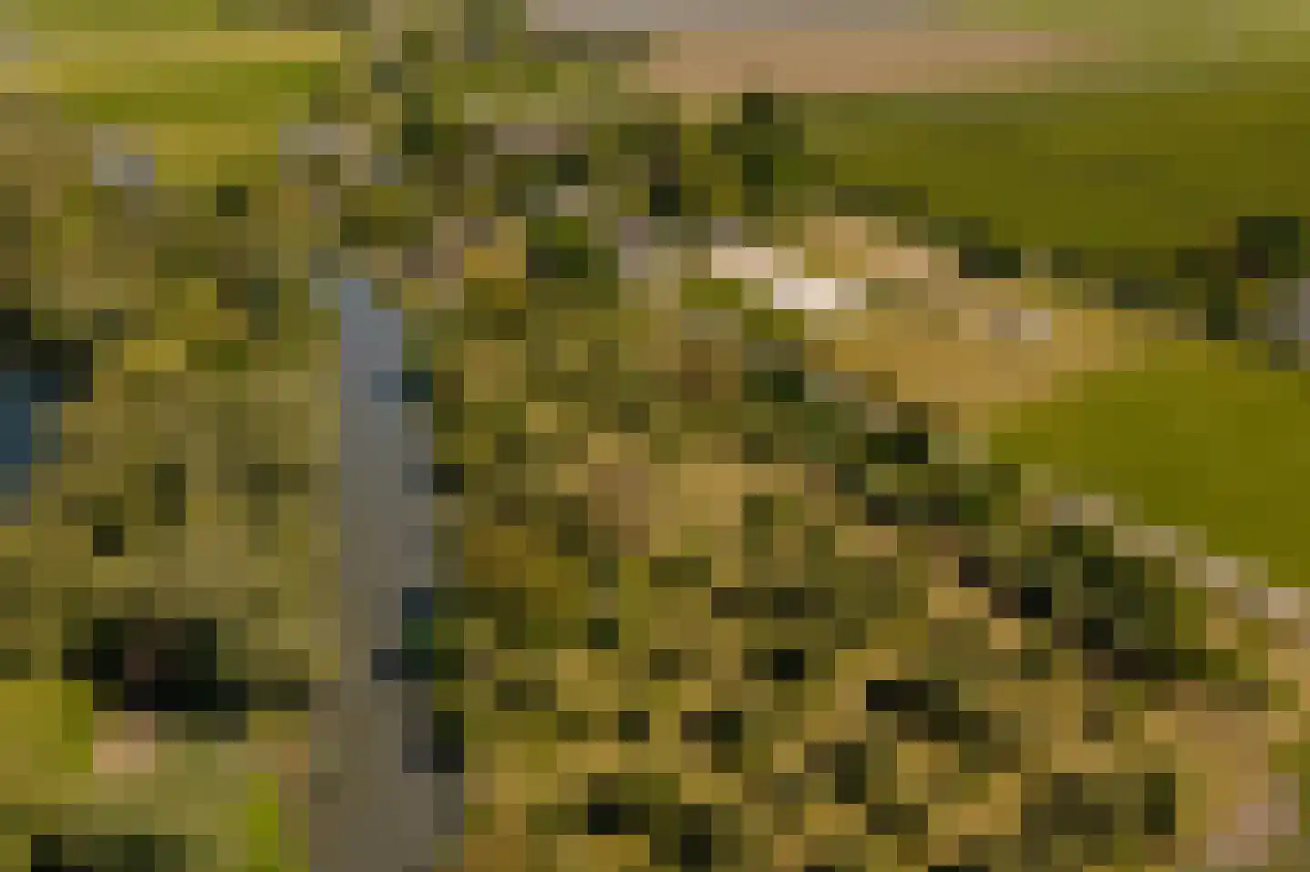 Lingedijk 30 Wadenoijen thumbnail 94