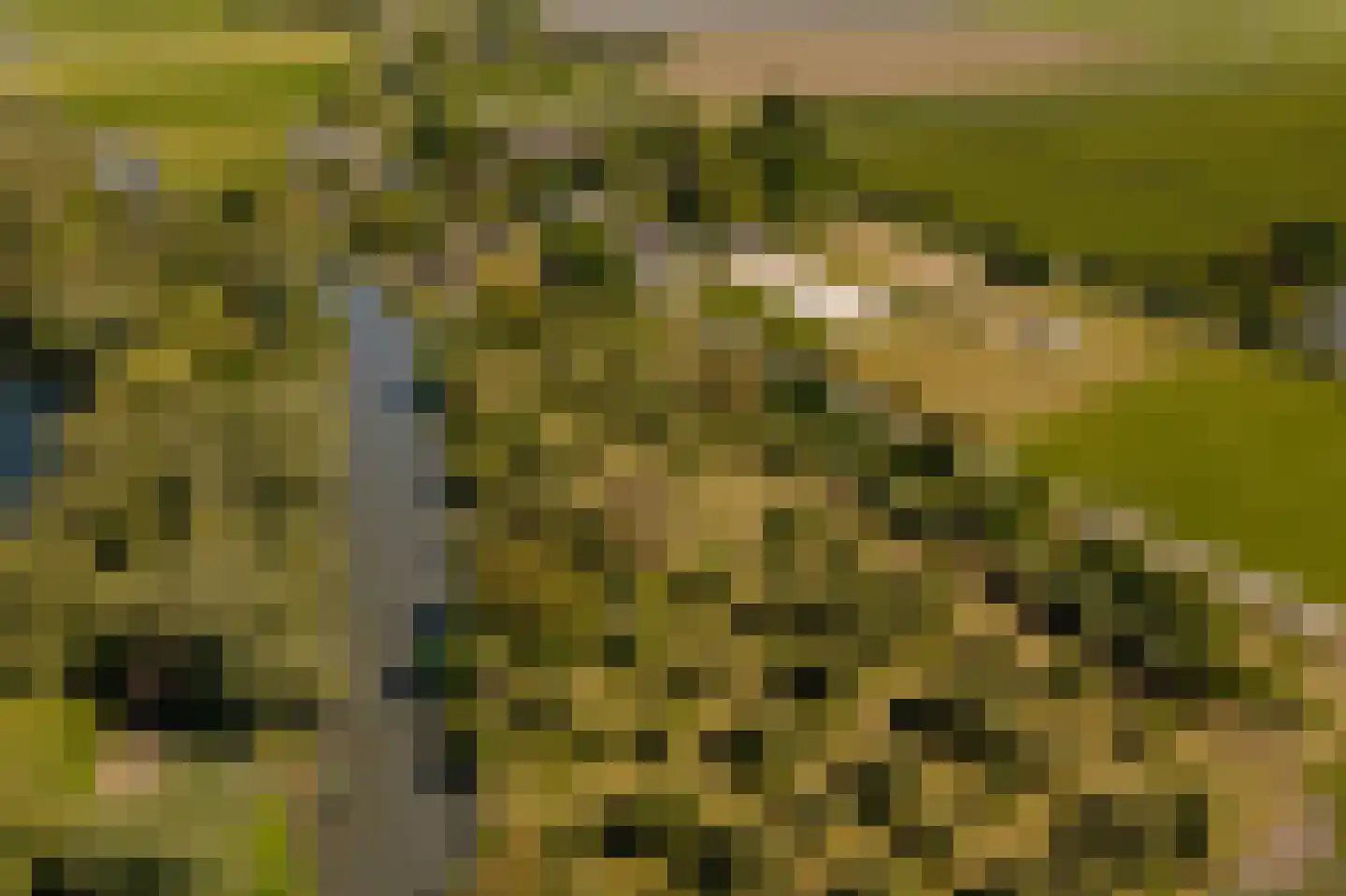 Lingedijk 30 Wadenoijen thumbnail 94