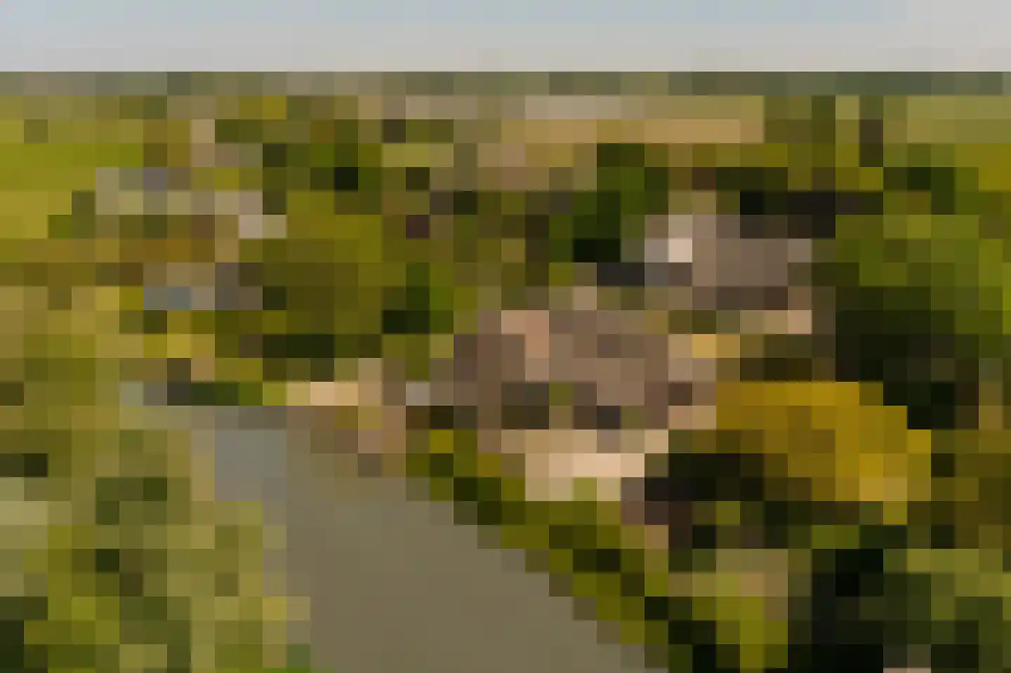 Lingedijk 30 Wadenoijen thumbnail 96