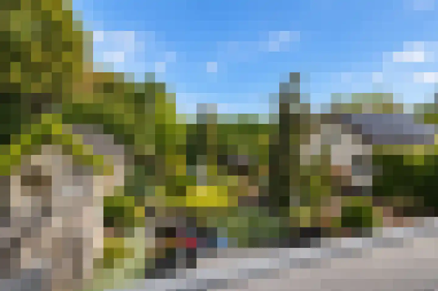 Lingedijk 46 Buurmalsen thumbnail 4