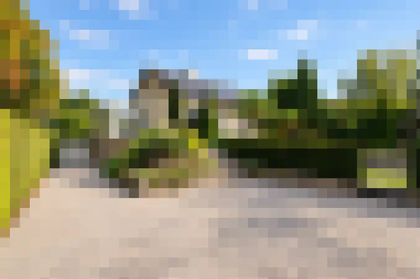 Lingedijk 46 Buurmalsen thumbnail 44