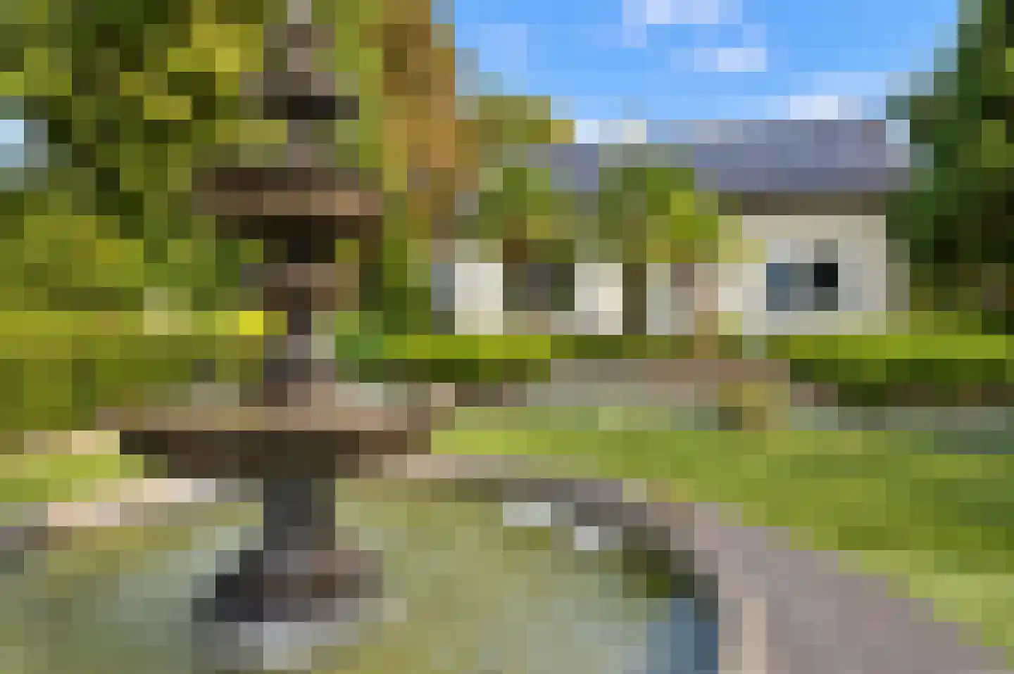 Lingedijk 46 Buurmalsen thumbnail 45