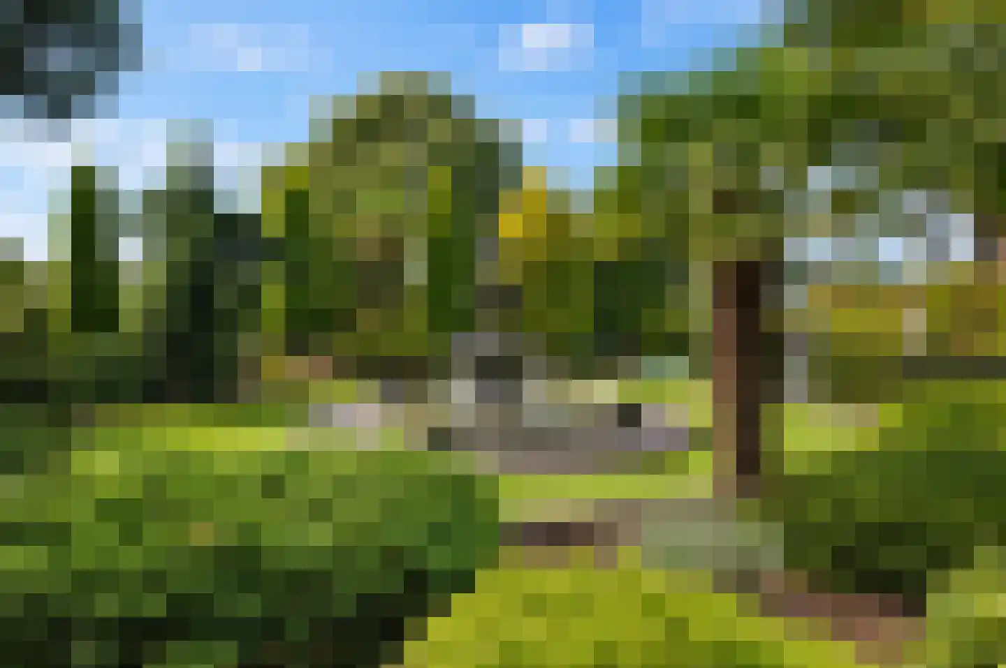 Lingedijk 46 Buurmalsen thumbnail 46