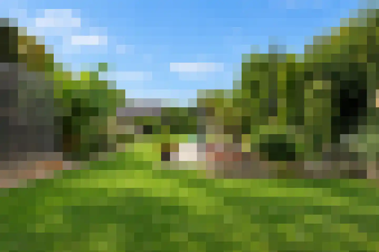Lingedijk 46 Buurmalsen thumbnail 48