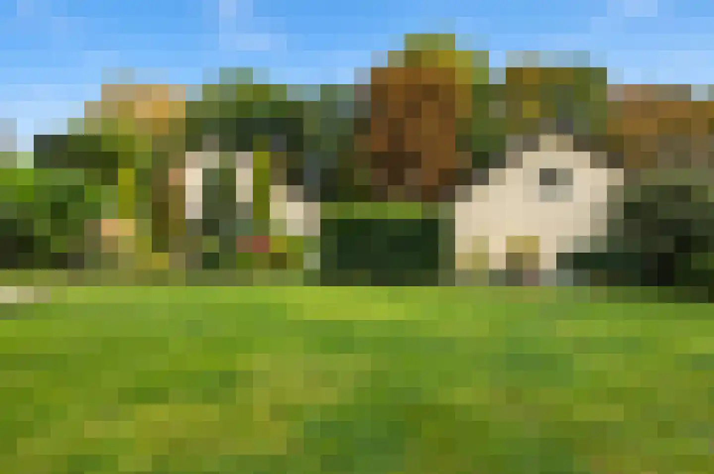 Lingedijk 46 Buurmalsen thumbnail 5