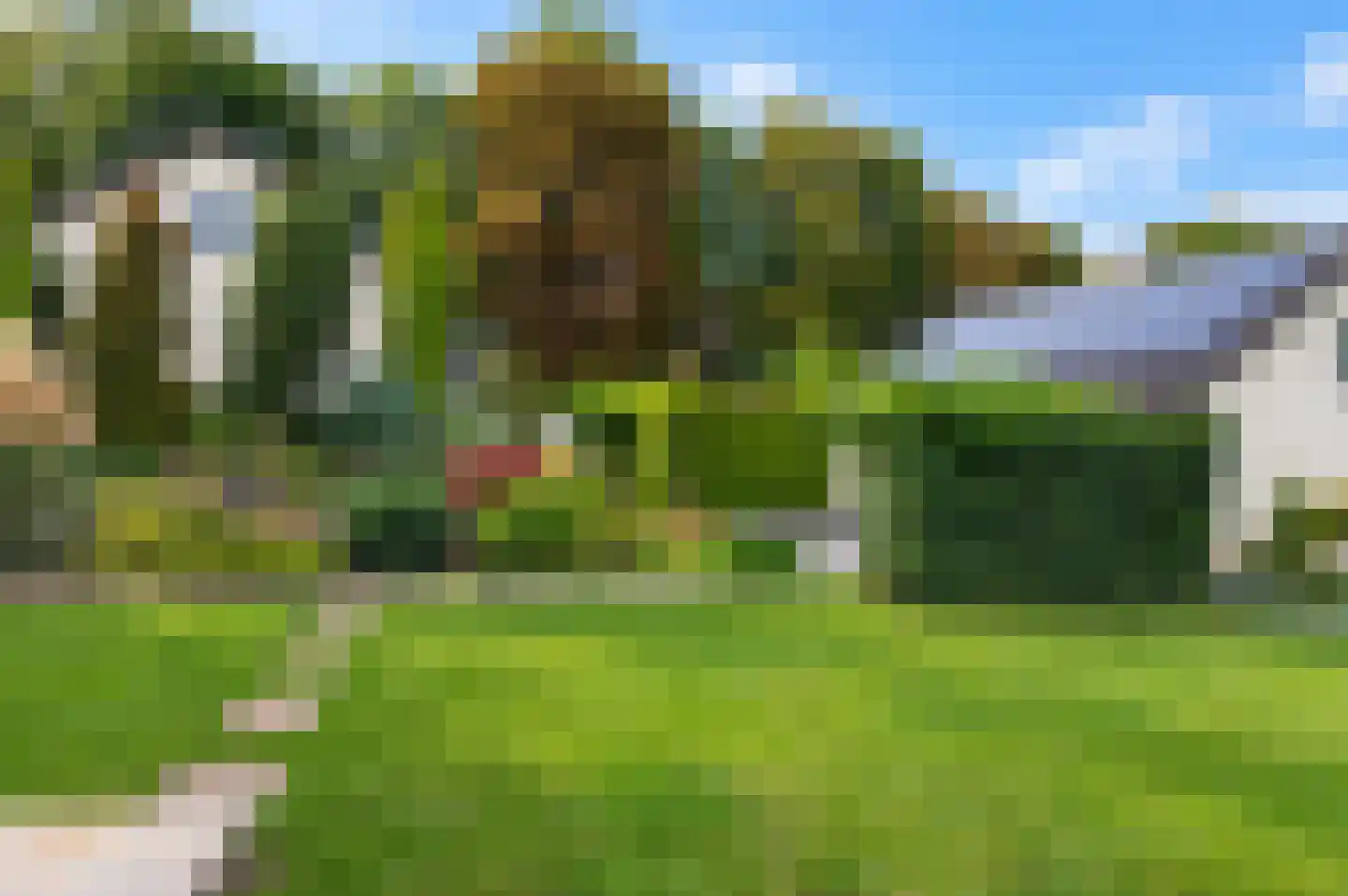 Lingedijk 46 Buurmalsen thumbnail 52