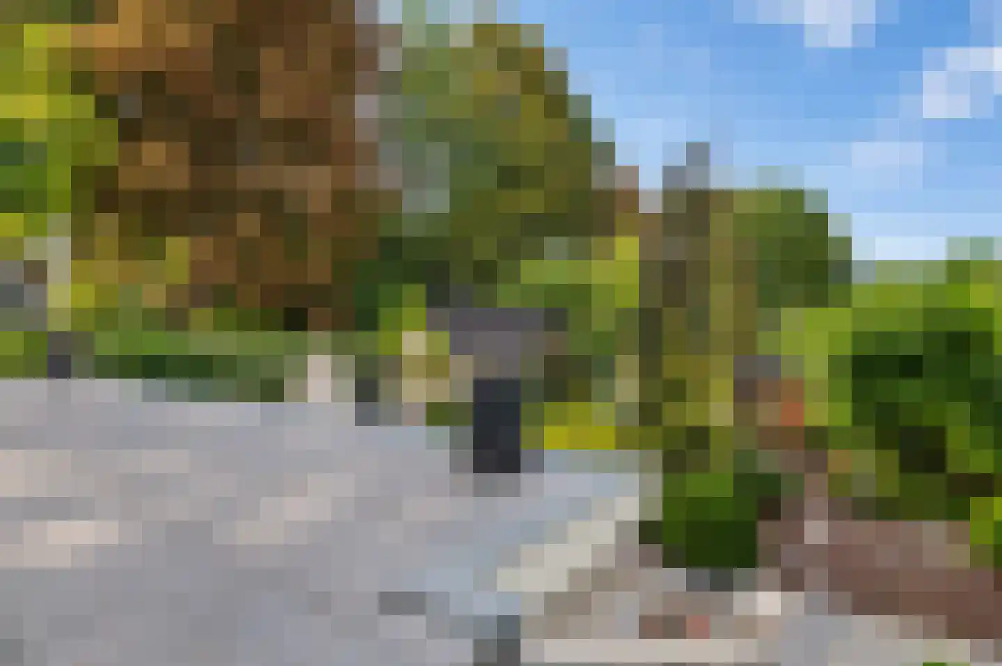 Lingedijk 46 Buurmalsen thumbnail 66