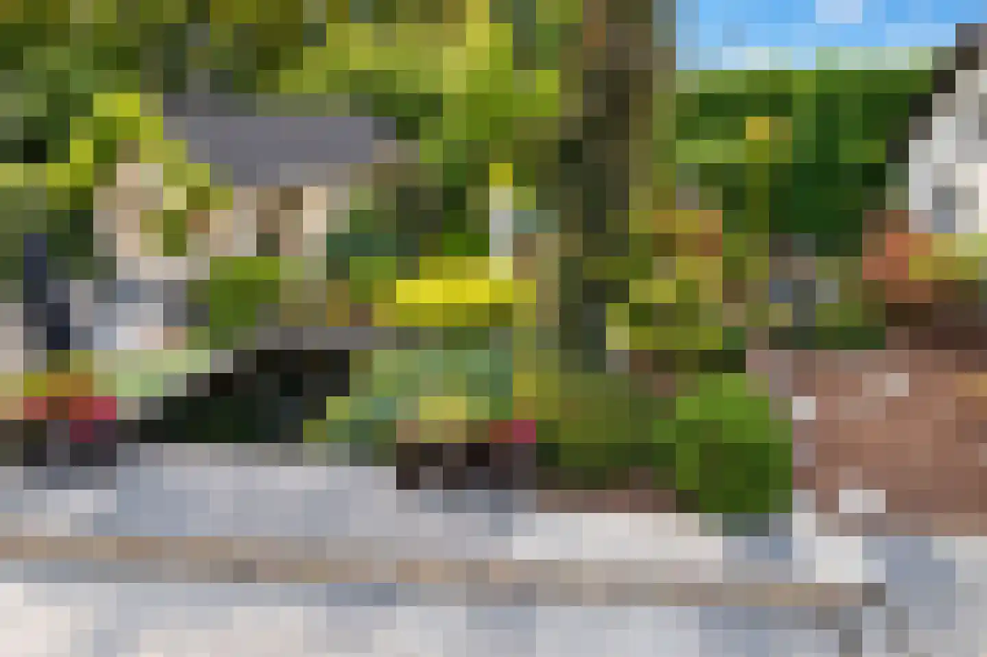 Lingedijk 46 Buurmalsen thumbnail 67