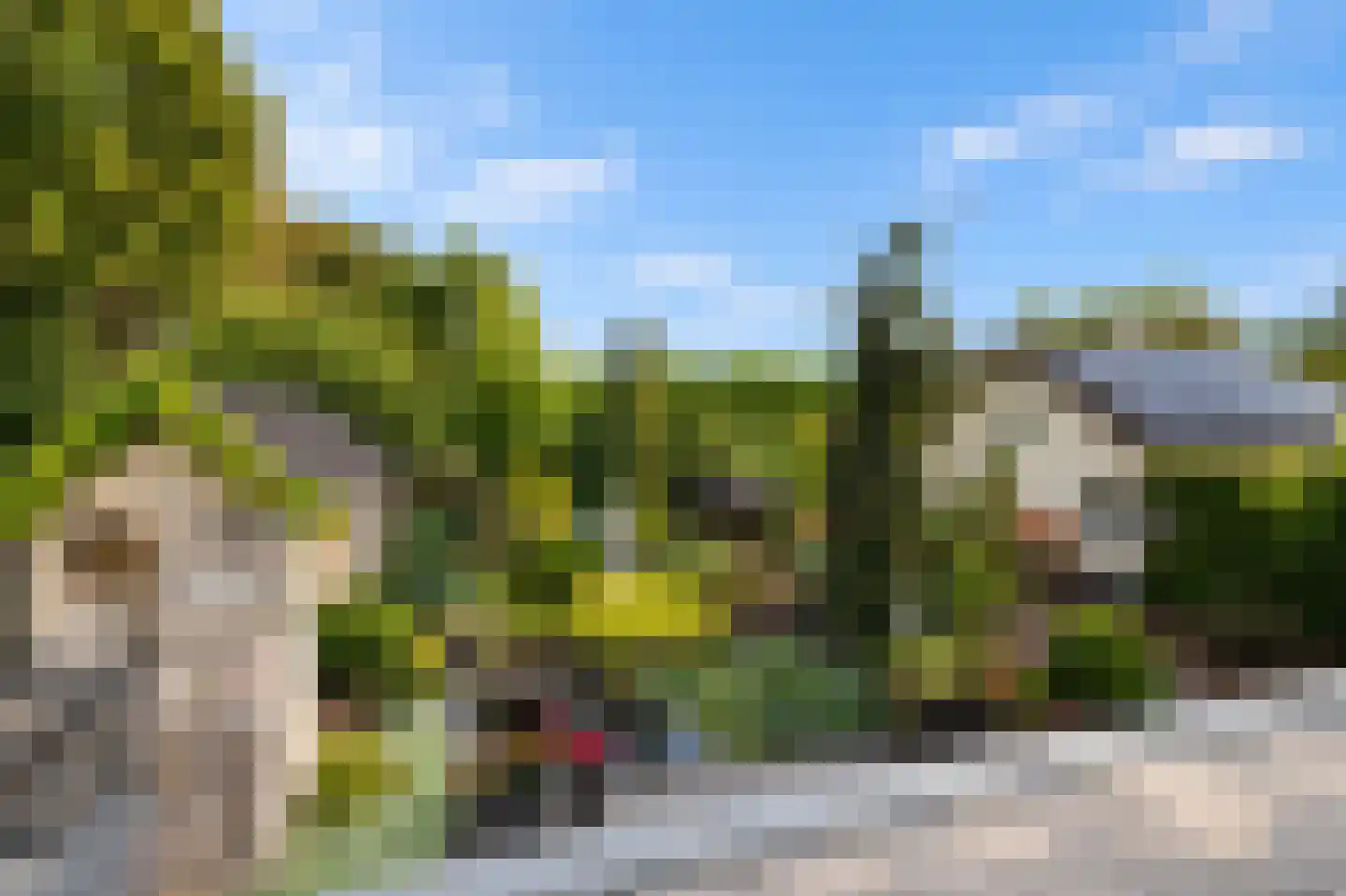 Lingedijk 46 Buurmalsen thumbnail 68