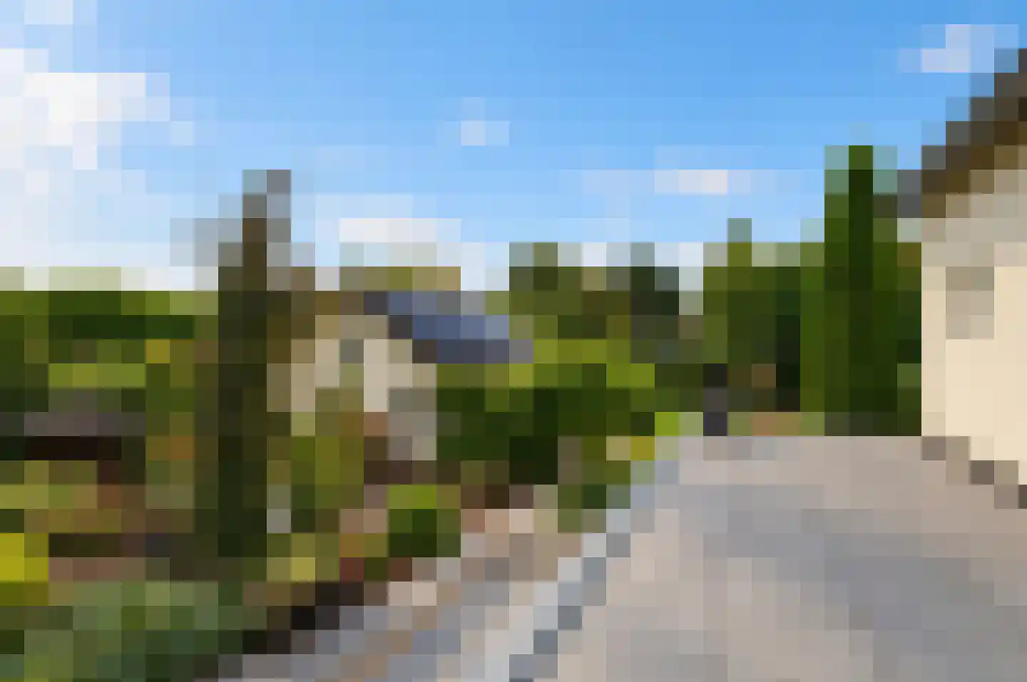 Lingedijk 46 Buurmalsen thumbnail 69