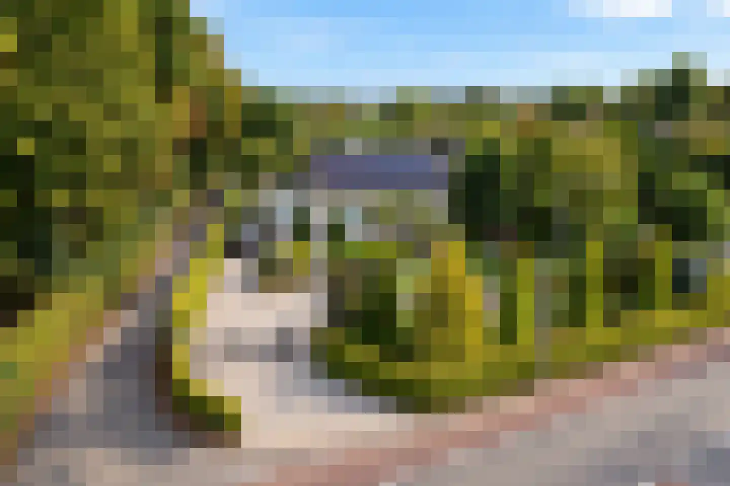 Lingedijk 46 Buurmalsen thumbnail 76