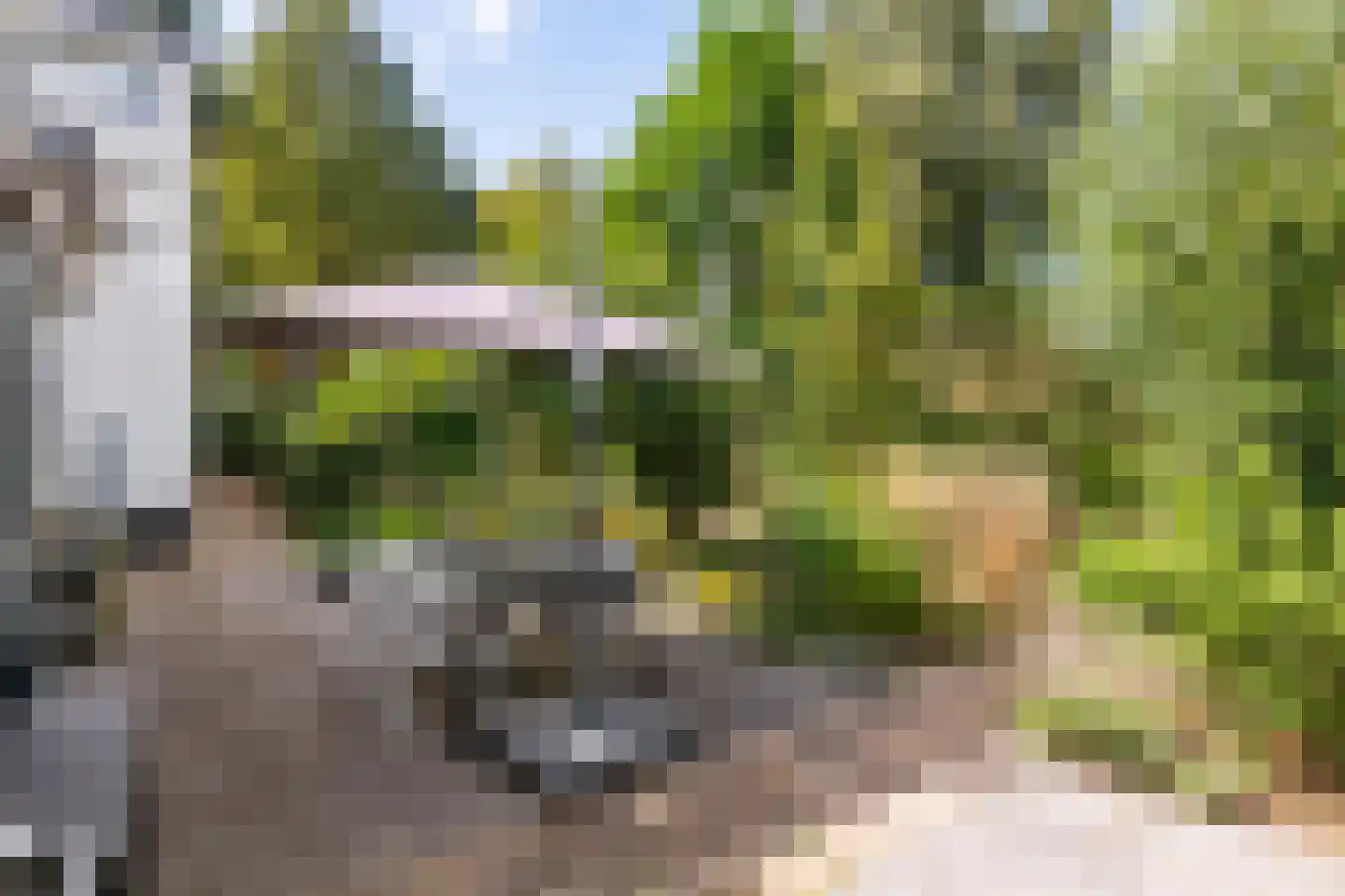 Lingedijk 56 Tiel thumbnail 37