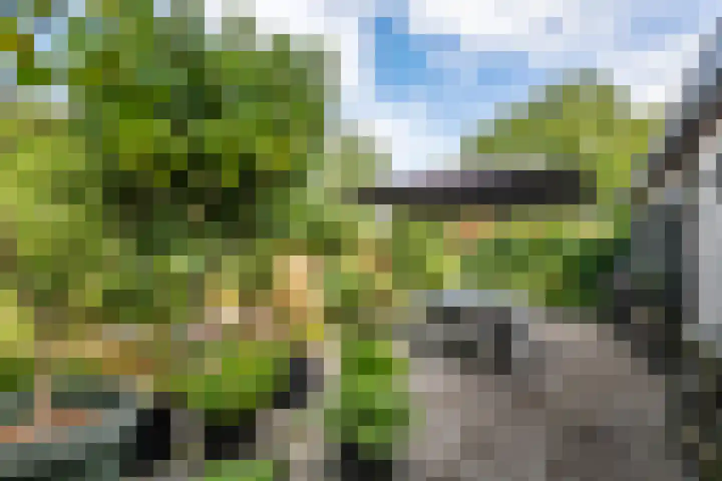 Lingedijk 56 Tiel thumbnail 43