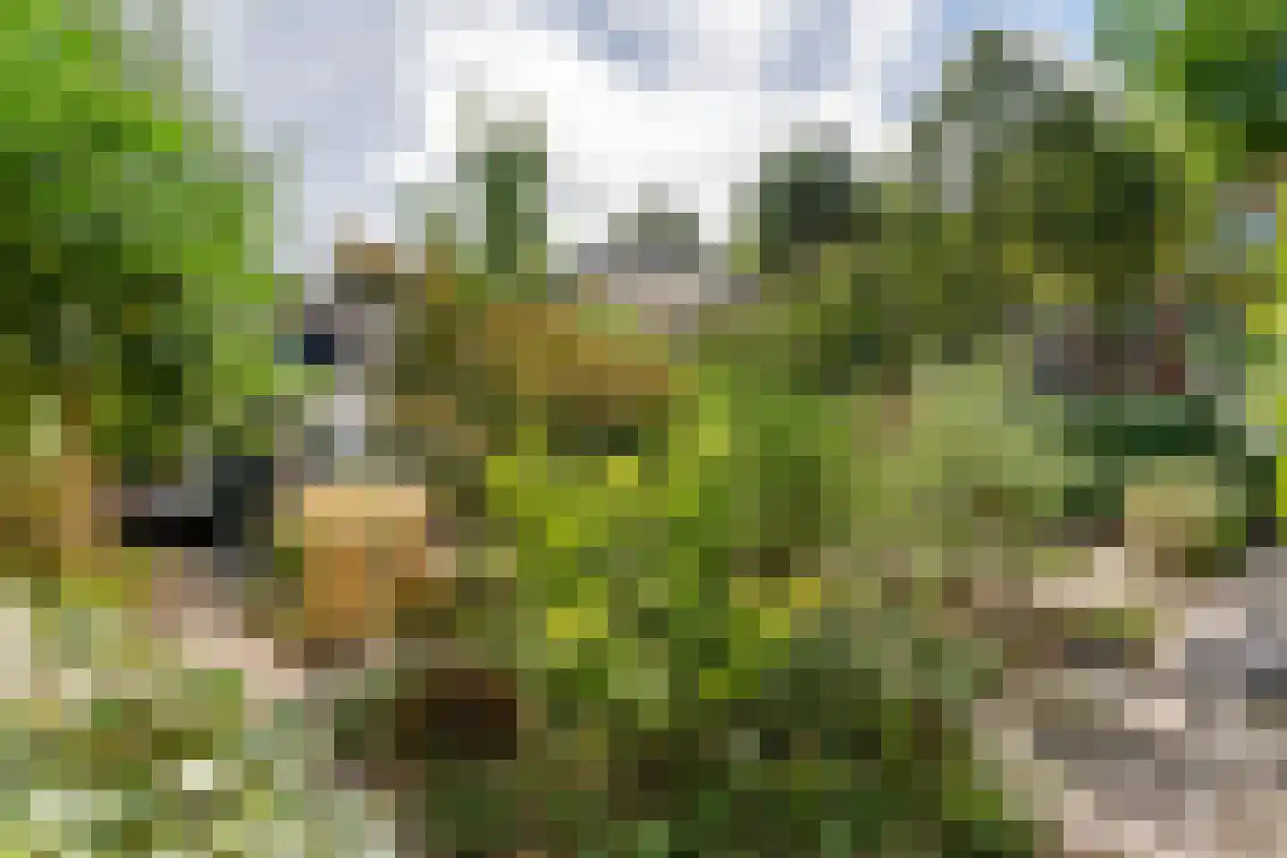 Lingedijk 56 Tiel thumbnail 47