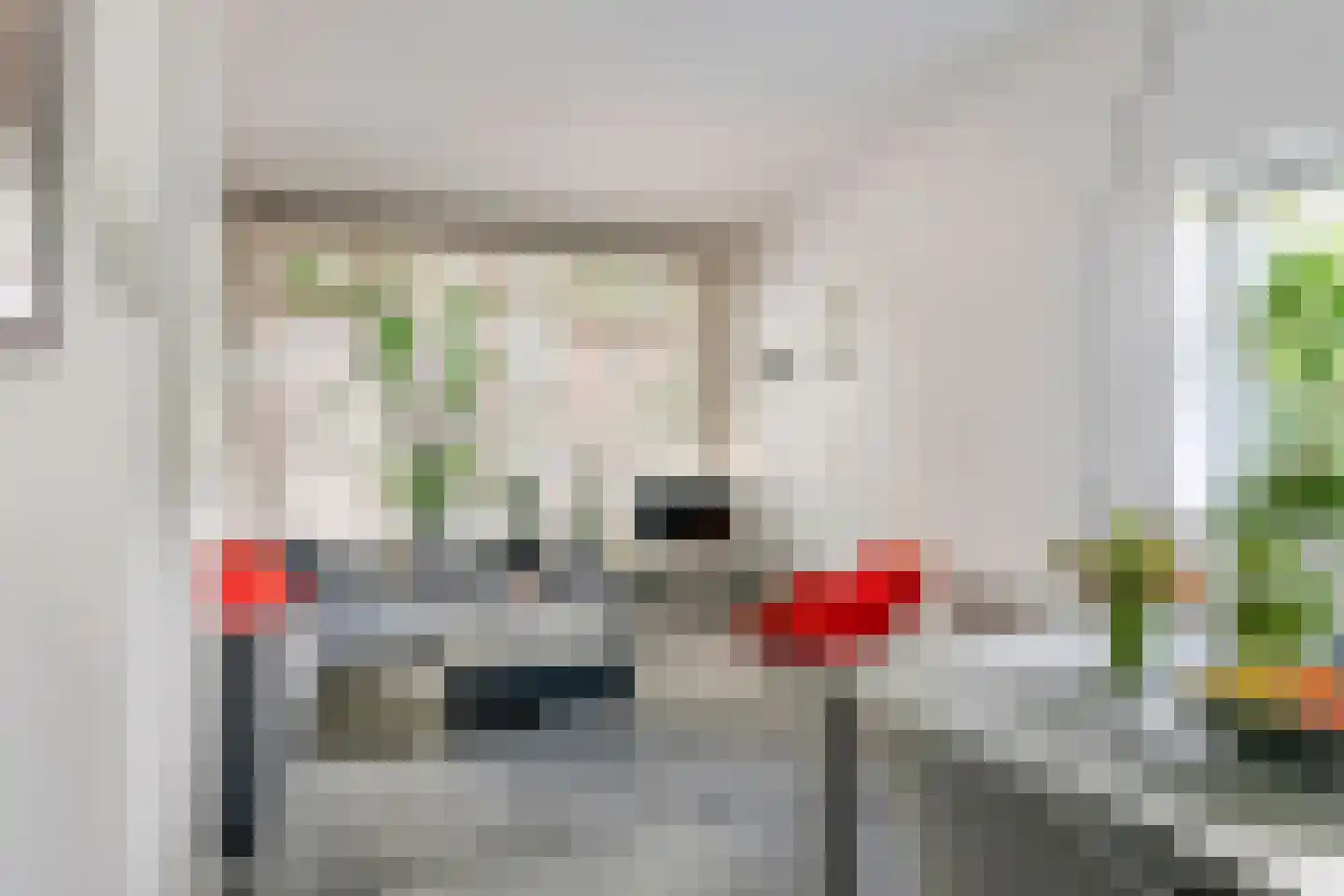 Lingedijk 56 Tiel thumbnail 6