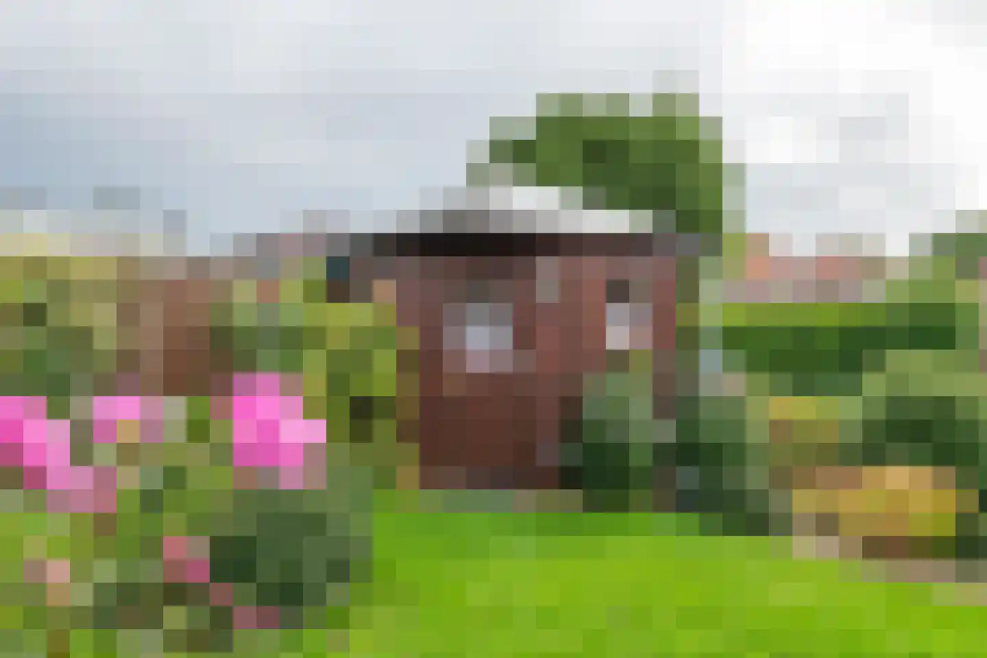 Lingedijk 65 a Wadenoijen thumbnail 13
