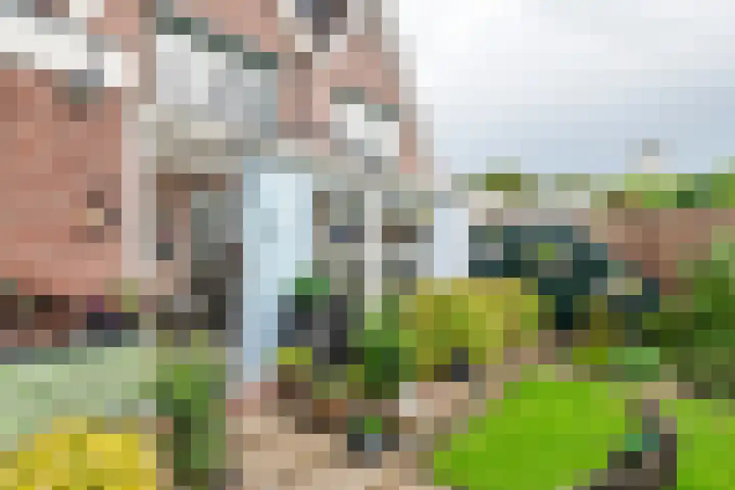 Lingedijk 65 a Wadenoijen thumbnail 14