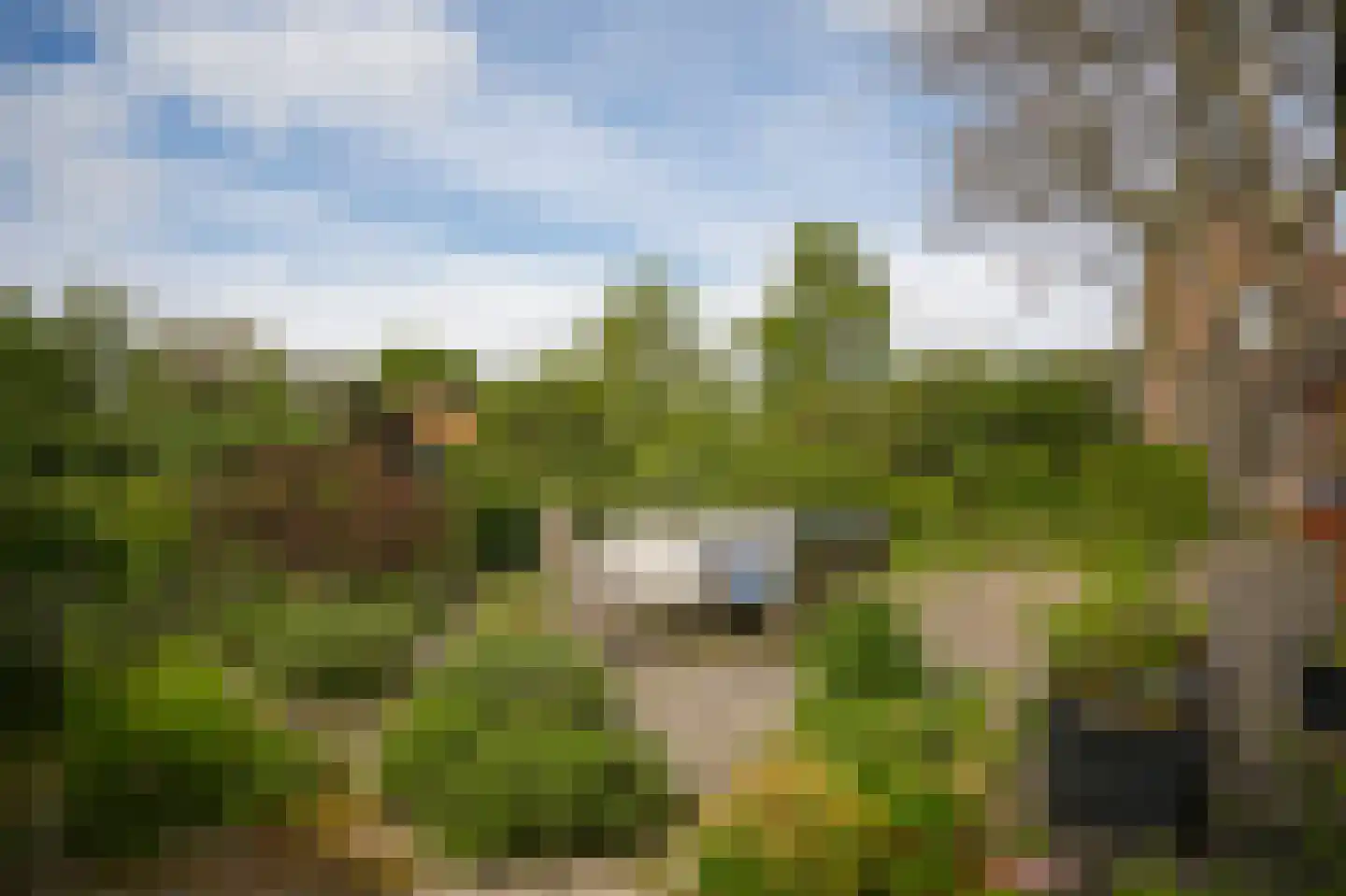 Lingedijk 76 Acquoy thumbnail 38