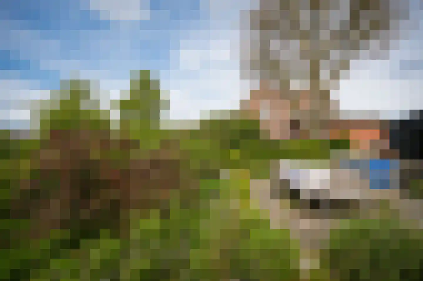 Lingedijk 76 Acquoy thumbnail 39