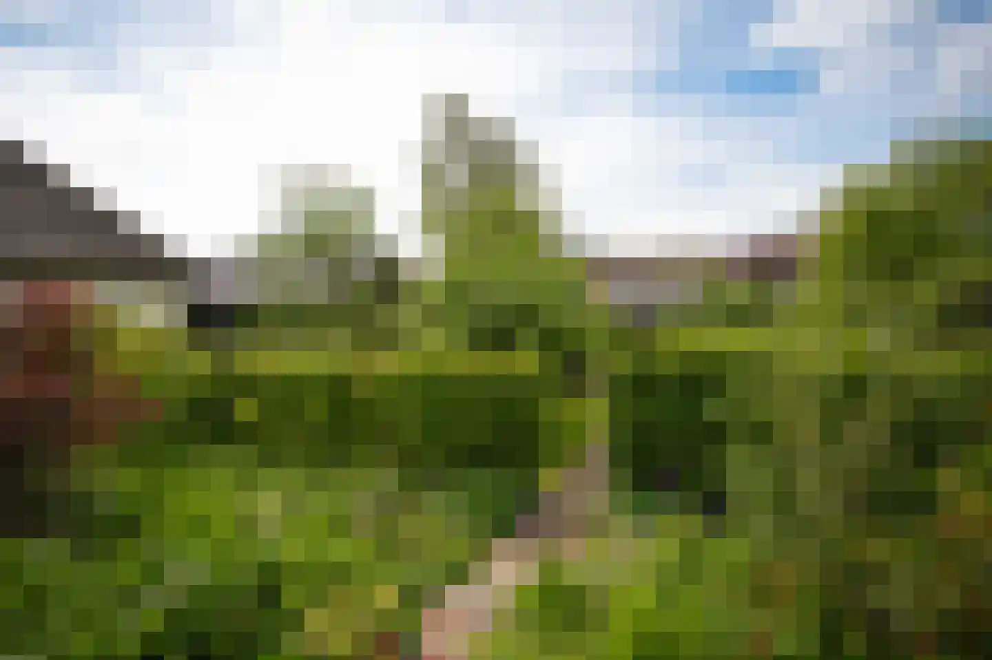 Lingedijk 76 Acquoy thumbnail 40