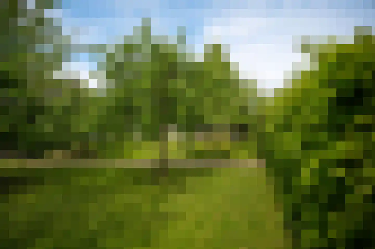 Lingedijk 76 Acquoy thumbnail 44