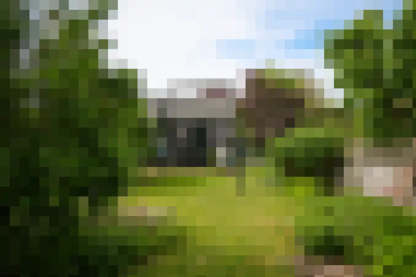 Lingedijk 76 Acquoy thumbnail 47