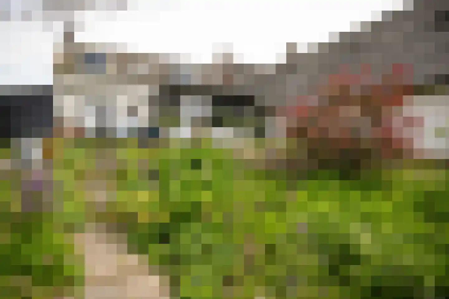 Lingedijk 76 Acquoy thumbnail 58