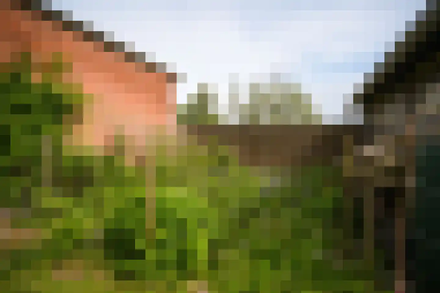 Lingedijk 76 Acquoy thumbnail 60