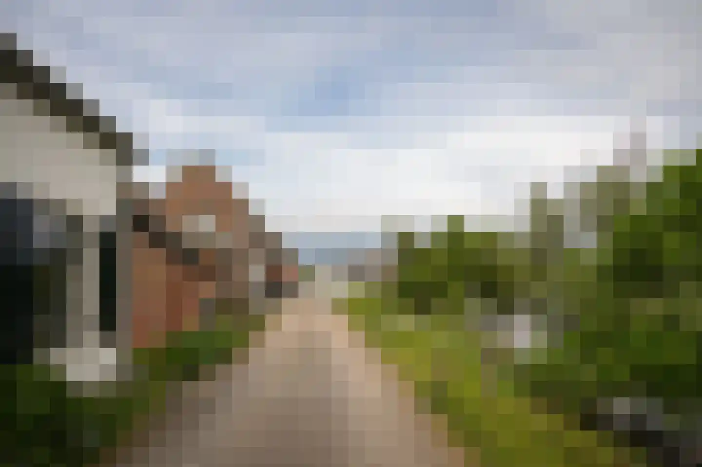 Lingedijk 76 Acquoy thumbnail 66