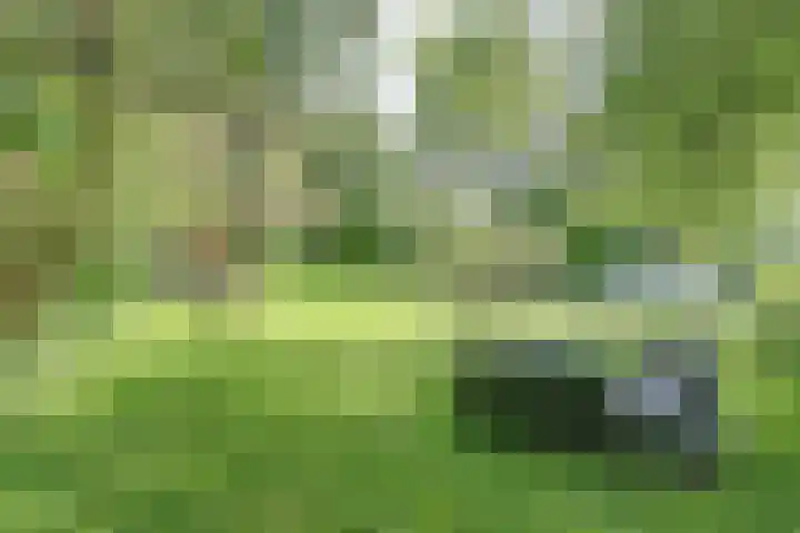 Lingedijk 8 a Gellicum thumbnail 20