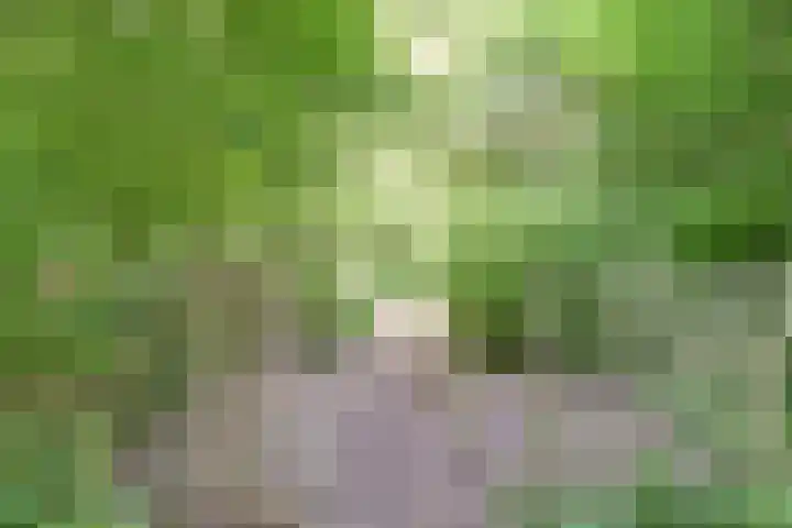 Lingedijk 8 a Gellicum thumbnail 28