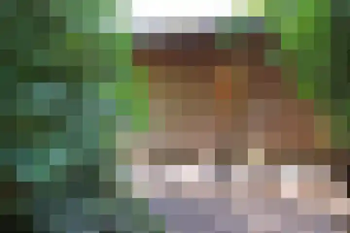 Lingedijk 8 a Gellicum thumbnail 37