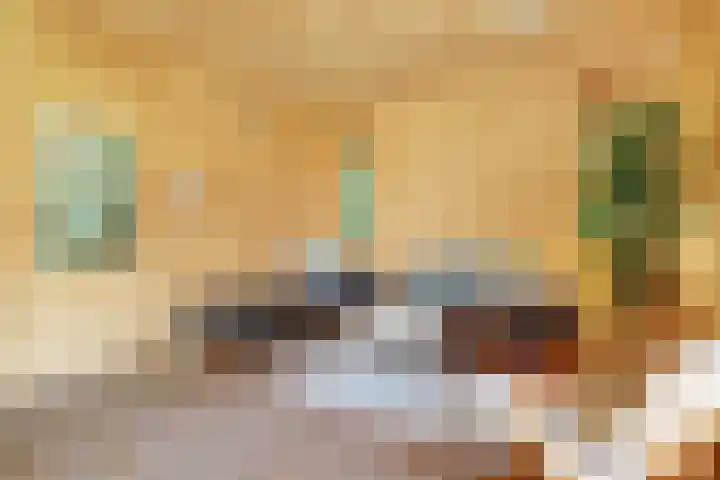 Lingedijk 8 a Gellicum thumbnail 9