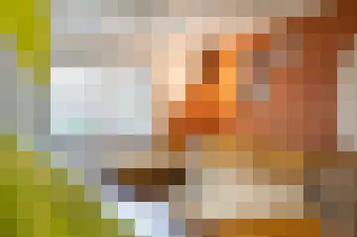 Lingedijk 8 Acquoy thumbnail 12