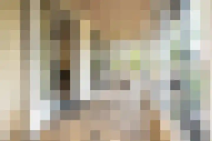 Lingedijk 8 Acquoy thumbnail 25