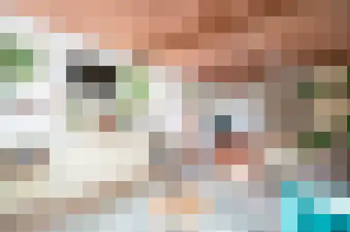 Lingedijk 8 Acquoy thumbnail 41