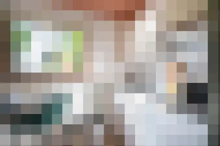 Lingedijk 8 Acquoy thumbnail 43