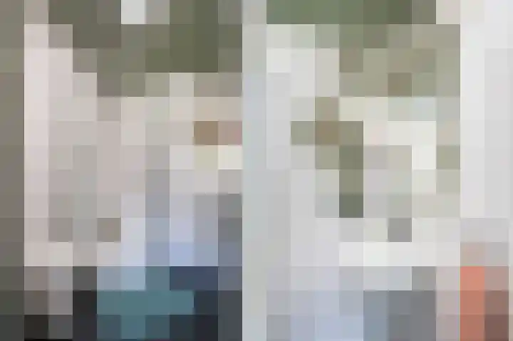 Lingedijk 8 Acquoy thumbnail 44