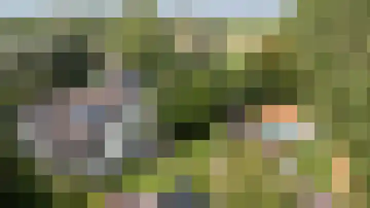 Lingedijk 8 Acquoy thumbnail 5