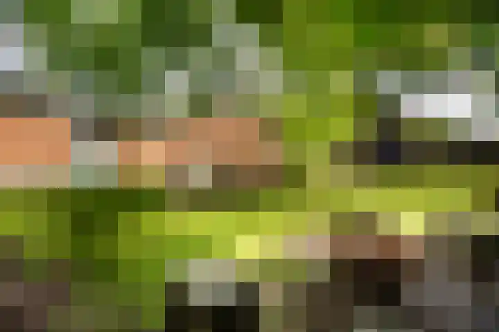 Lingedijk 8 Acquoy thumbnail 53