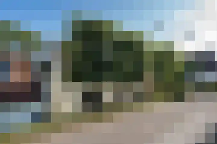 Lingedijk 8 Acquoy thumbnail 6
