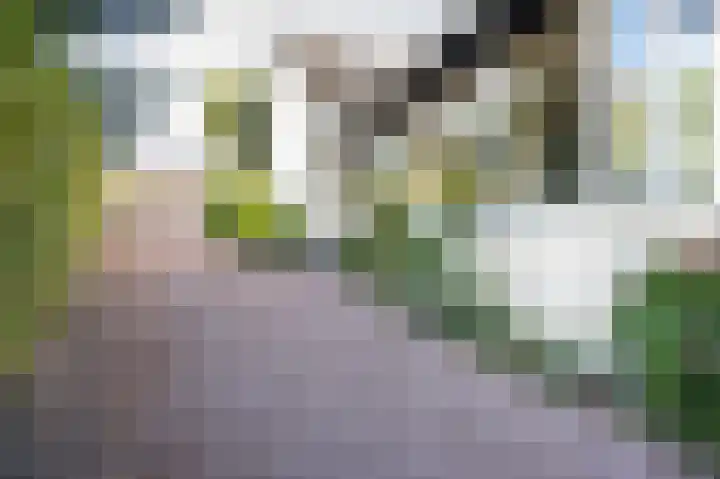 Lingedijk 8 Acquoy thumbnail 77