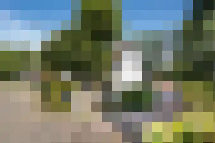 Lingedijk 8 Acquoy thumbnail 8