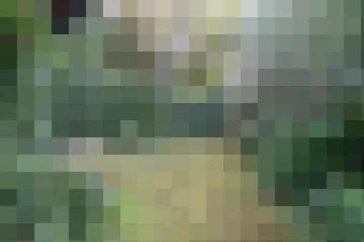 Lingedijk 8 Acquoy thumbnail 85